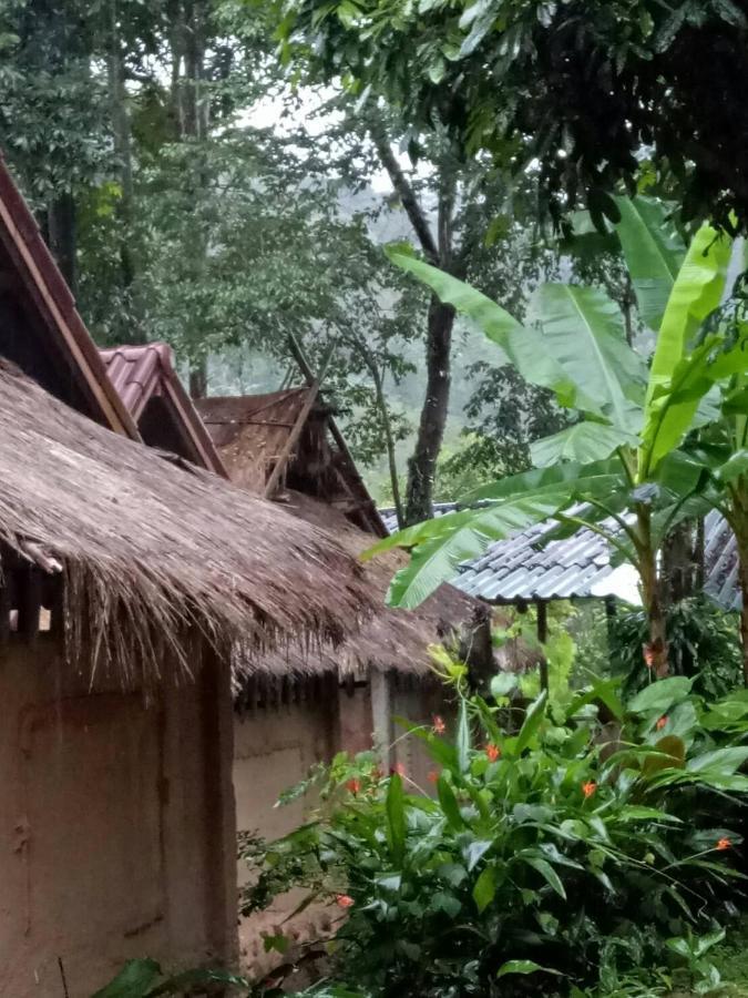 Hill Tribe Art House Lägenhet Chiang Rai Rum bild